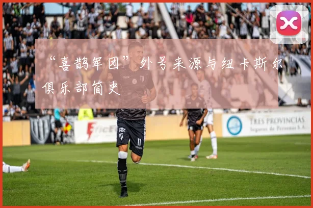“喜鹊军团”外号来源与纽卡斯尔俱乐部简史