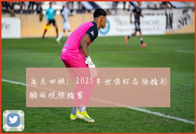 高光回顾：2025年世俱杯各场精彩瞬间视频精剪