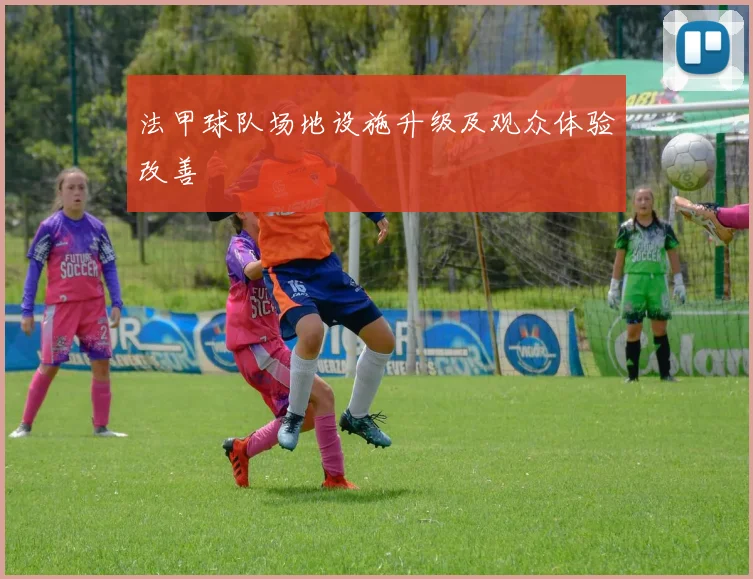 法甲球队场地设施升级及观众体验改善