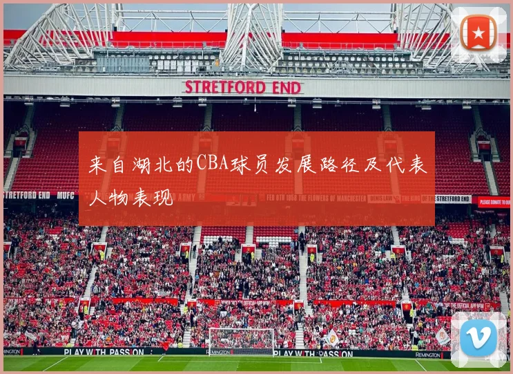 来自湖北的CBA球员发展路径及代表人物表现