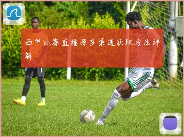 西甲比赛直播源多渠道获取方法详解
