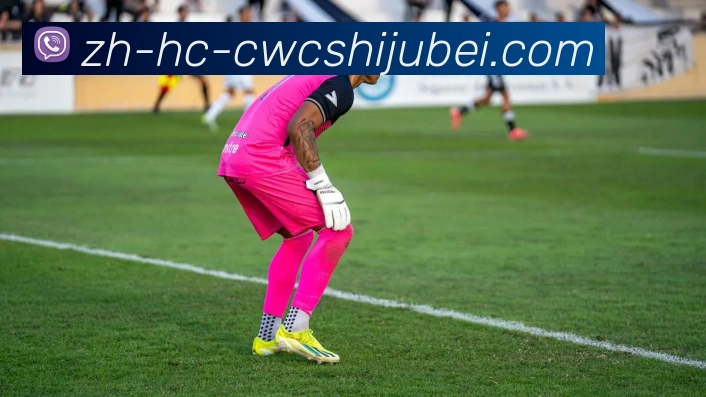 世界杯买球品牌故事