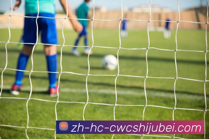 世界杯买球服务体系