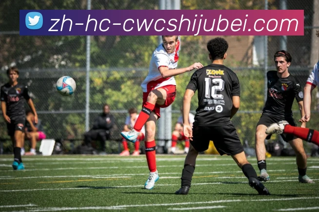 世界杯买球APP 体育赛事宣传图